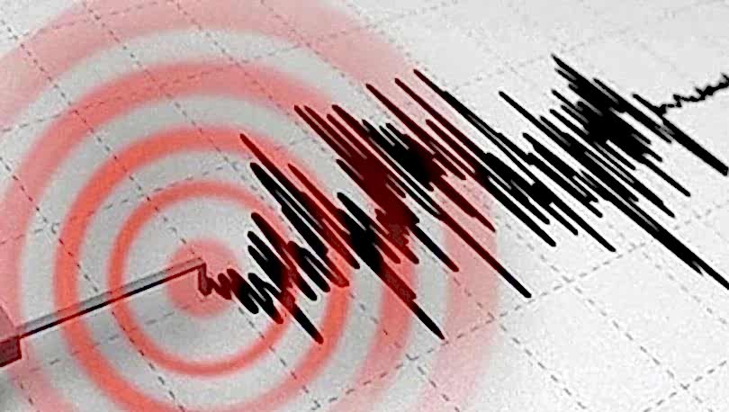 Mapei Carboplate Onarım Güçlendirme